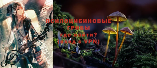 эйфоретик Балахна
